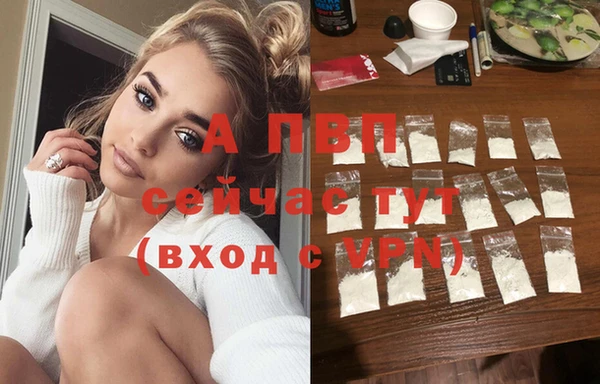 прущая мука Бородино