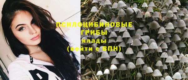 синтетический гашиш Богородск