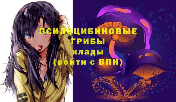 синтетический гашиш Богородск