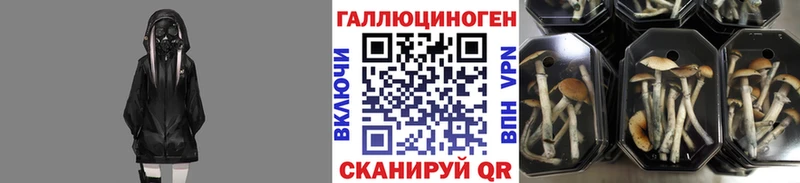 Псилоцибиновые грибы ЛСД  дарнет шоп  Коряжма 